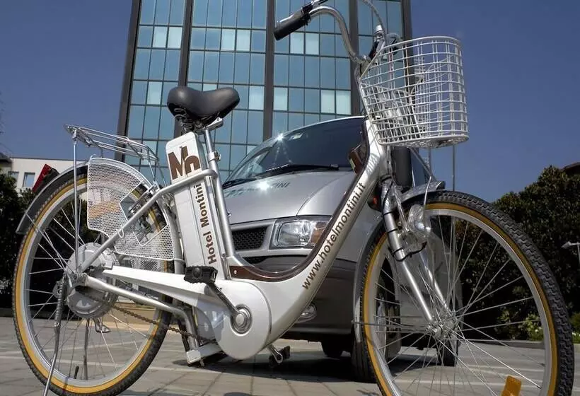 호텔 Montini Linate Airport