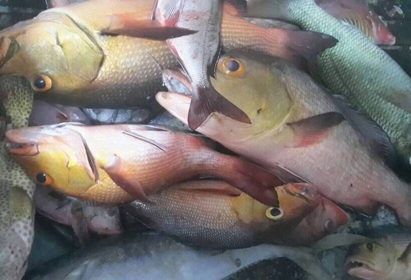 پانسیون Hudhu Raakani Lodge