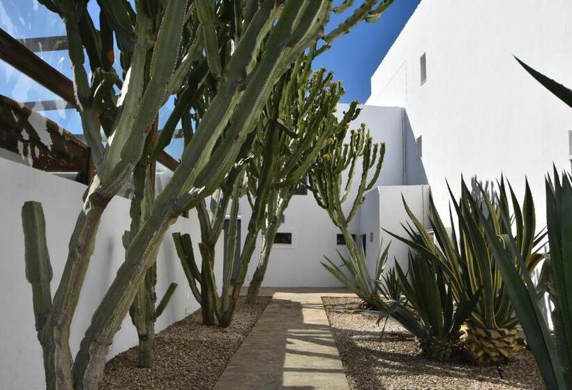 Hostal Doña Lola Marina