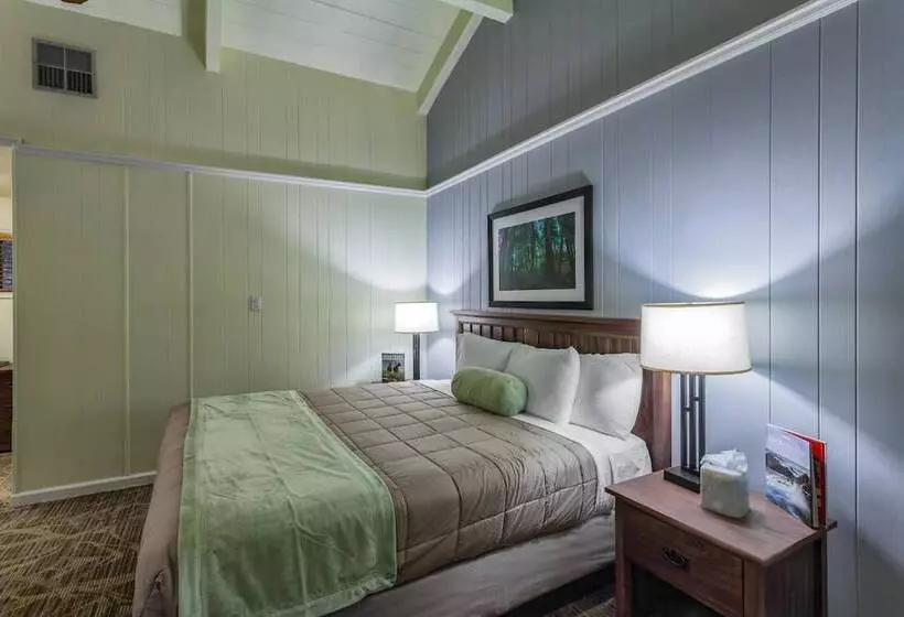 ホテル Big Sur Lodge