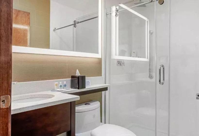 Hotelli Comfort Inn Prospect Parkbrooklyn