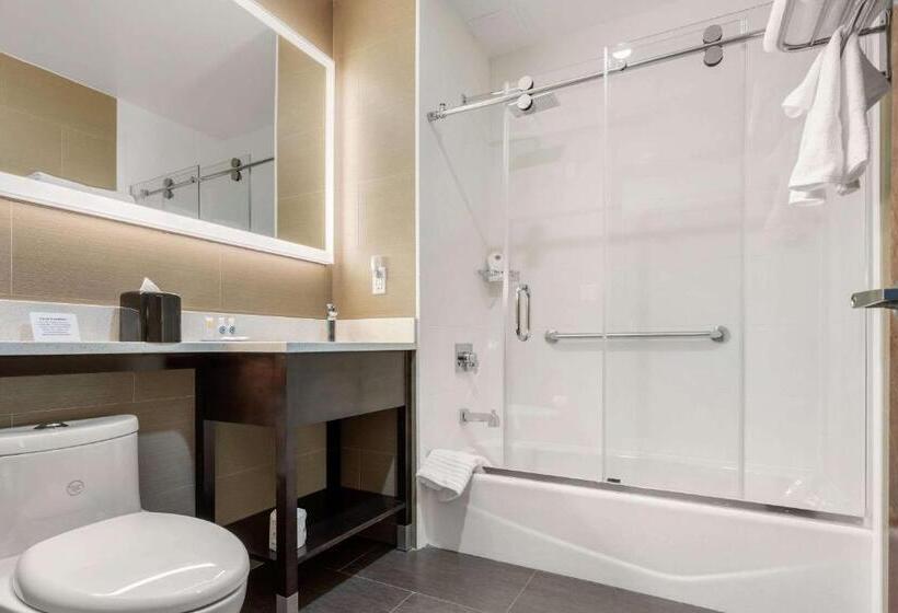 Отель Comfort Inn Prospect Parkbrooklyn