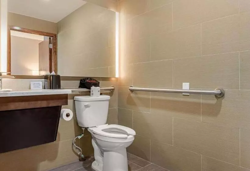 Hotelli Comfort Inn Prospect Parkbrooklyn