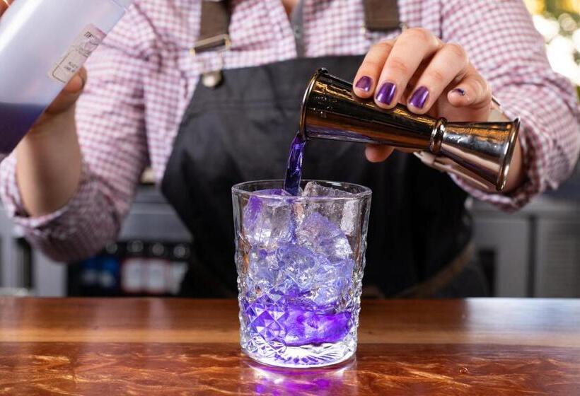 فندق Indigo Chattanooga   Downtown, An Ihg