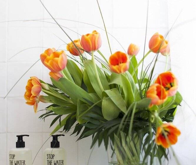 هتل Maison Volver