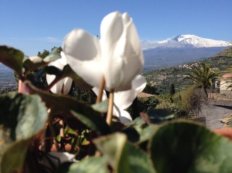 Villa Greta Hotel Rooms & Suites