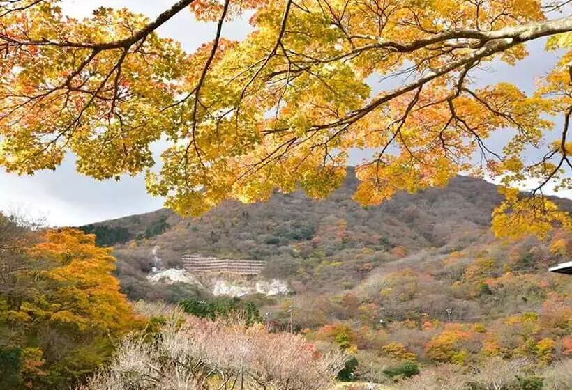 Отель Hakone Yunohana Prince