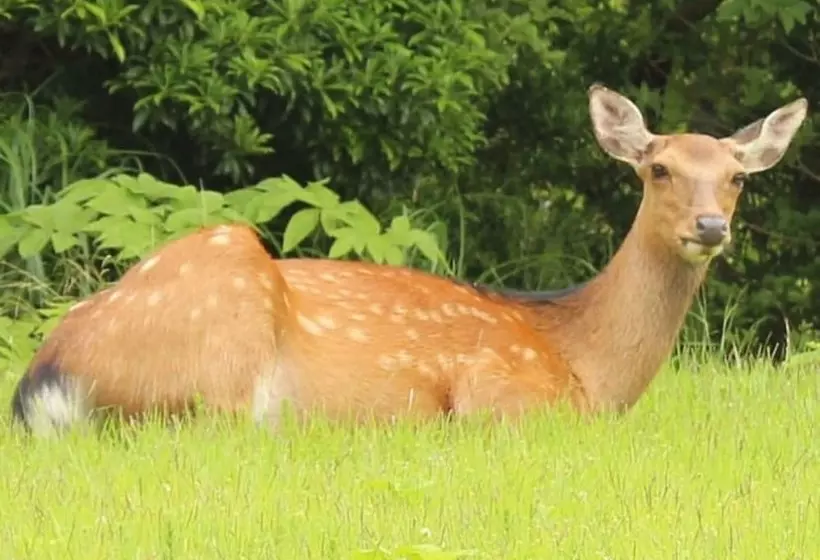 Отель Hakone Yunohana Prince