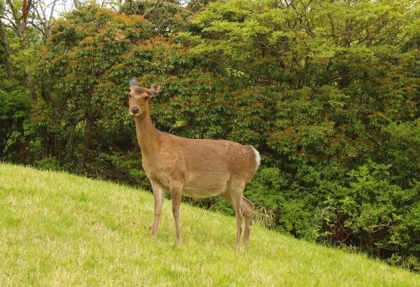 Отель Hakone Yunohana Prince