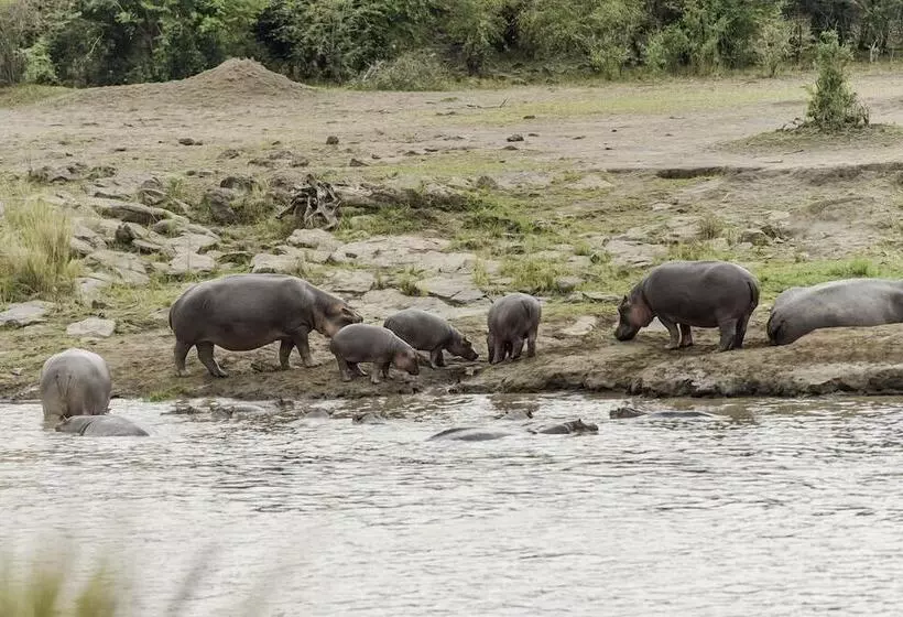 בית מלון כפרי Mara Serena Safari Lodge