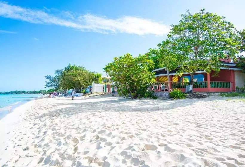 Shields Negril Villas Ltd