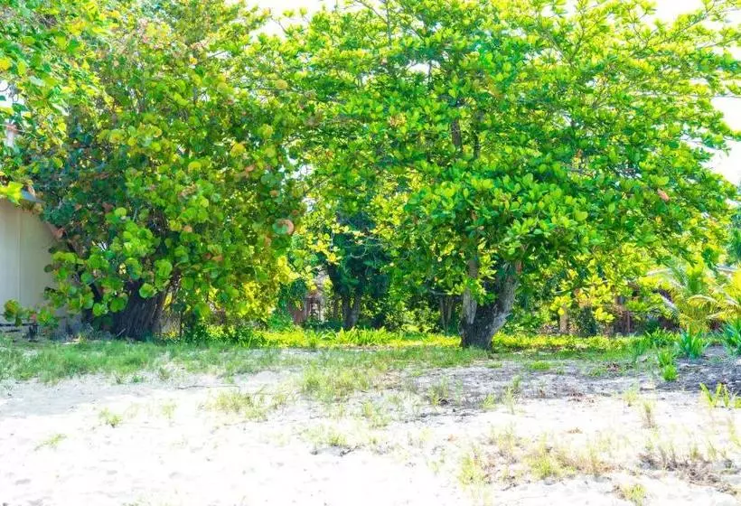 Shields Negril Villas Ltd