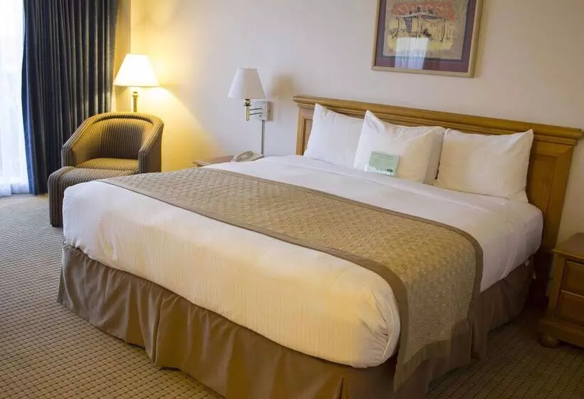 酒店 Lucerna Ciudad Juarez