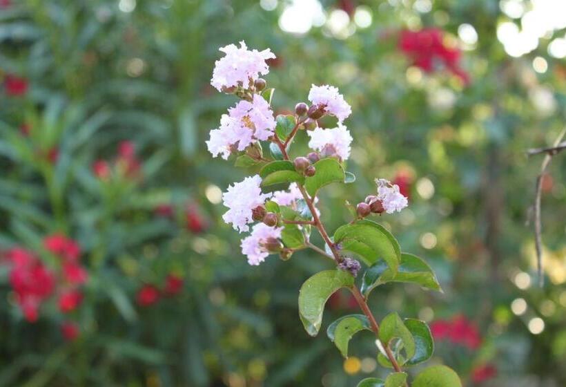 酒店 Baia Di Zambrone