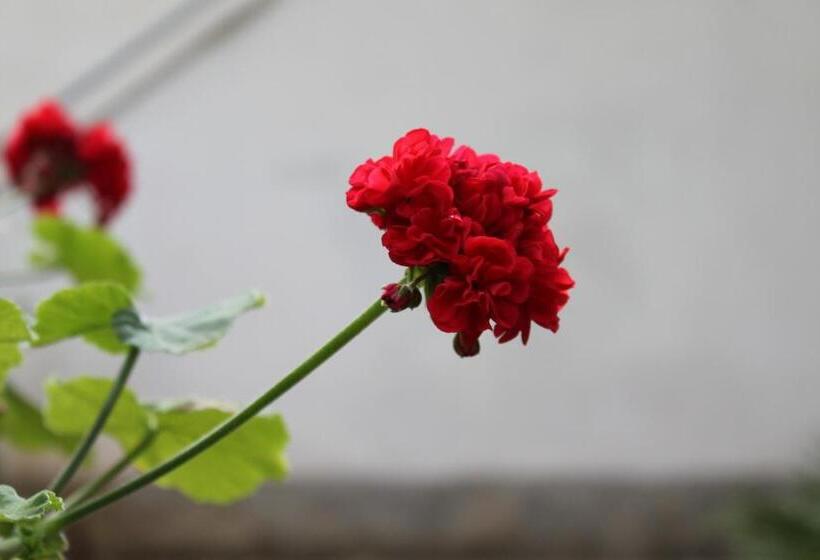 酒店 Baia Di Zambrone