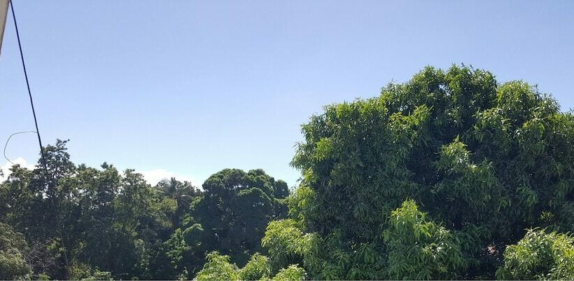 تختخواب و صبحانه Executive