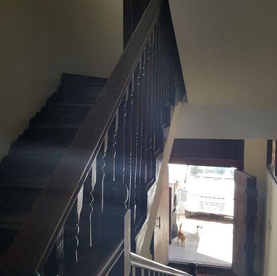 تختخواب و صبحانه Executive