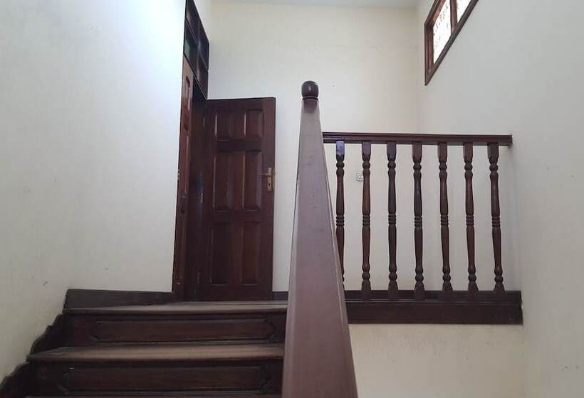 تختخواب و صبحانه Executive