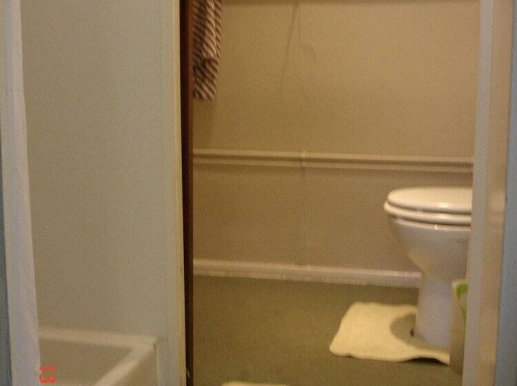 Broxbourne Riverside Chalets