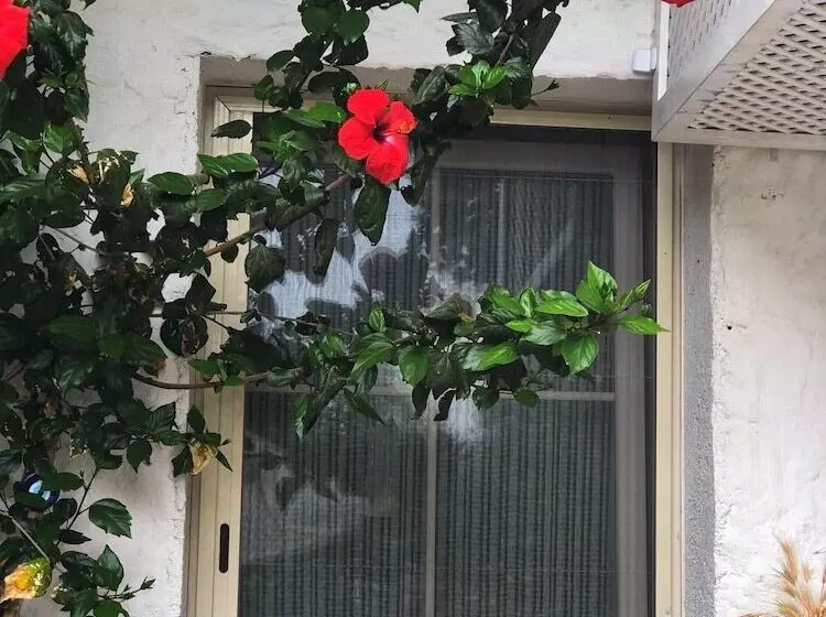 ホテル Pervin Hanim Konagi