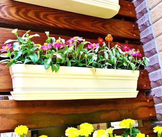 پانسیون Chin Hsi Homestay