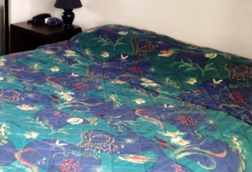 בית מלון כפרי Academy Motor Lodge