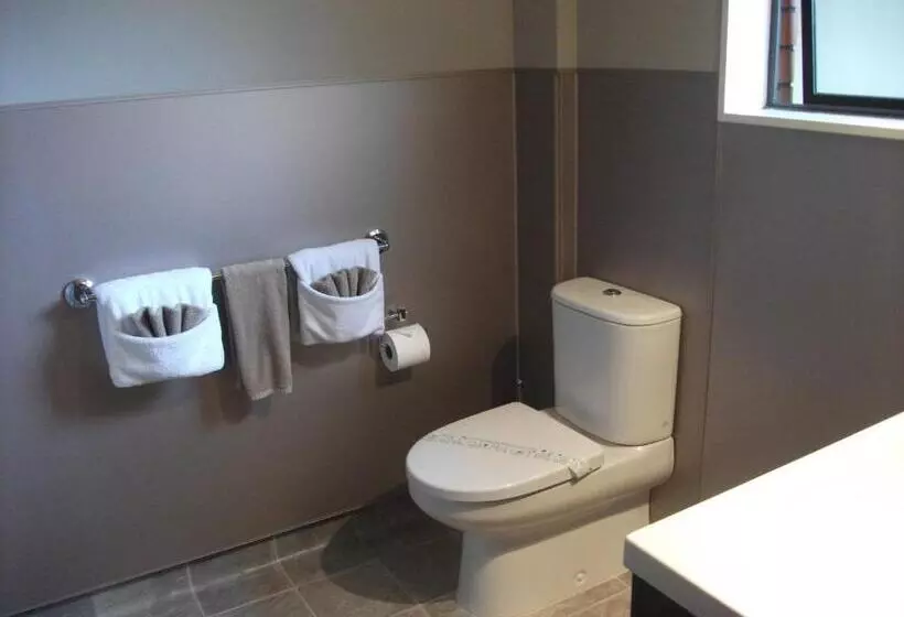 Отель Aquarius Motor Inn