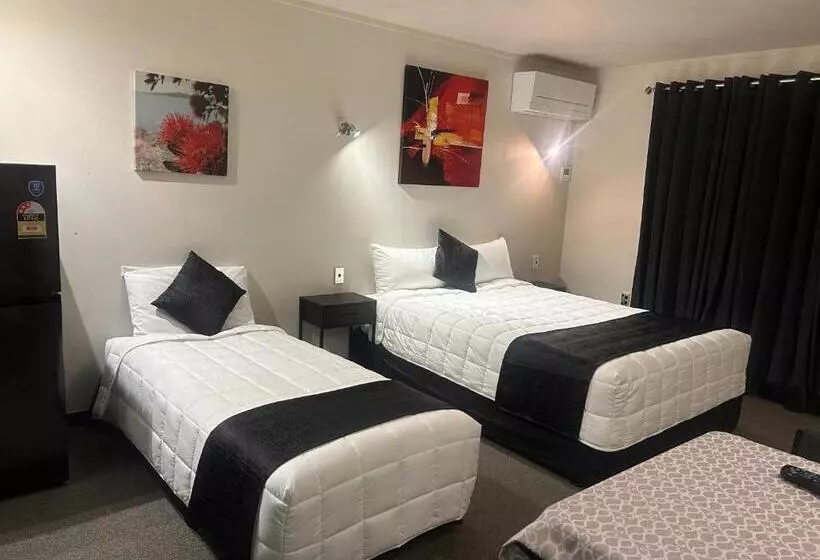 Отель Aquarius Motor Inn