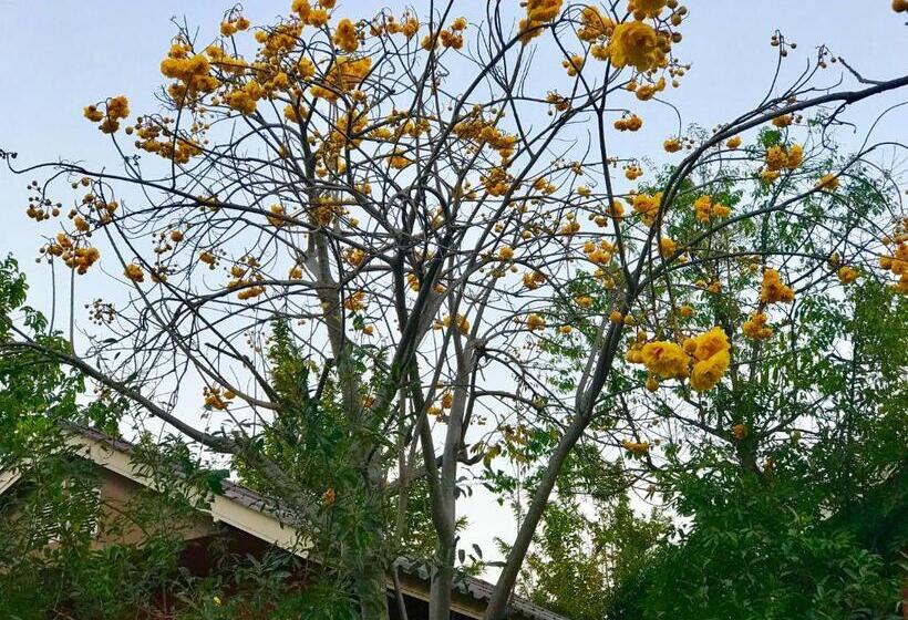 בית מלון כפרי Baan Suan Rojjana