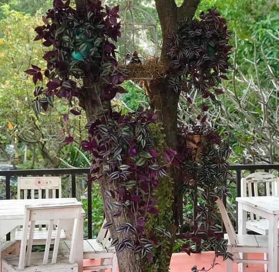 בית מלון כפרי Baan Suan Rojjana