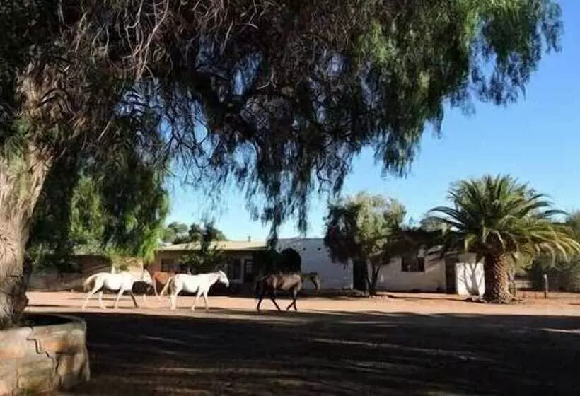 پانسیون Savanna Guest Farm