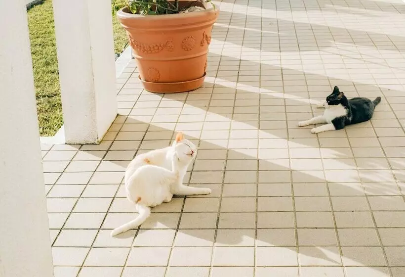 Hotelli Canaan Coffee &