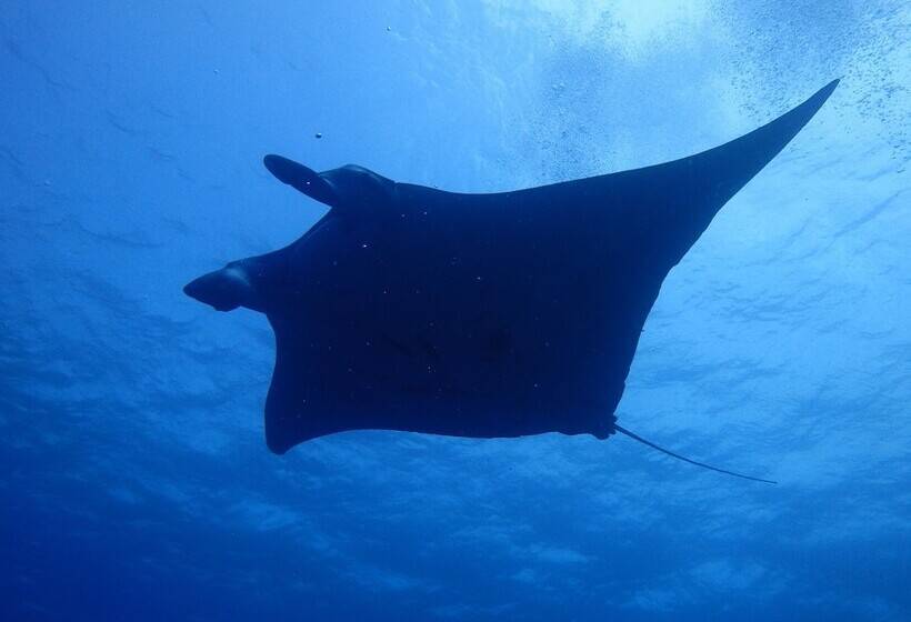 Отель Canaan Coffee &