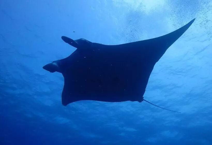 Hotelli Canaan Coffee &