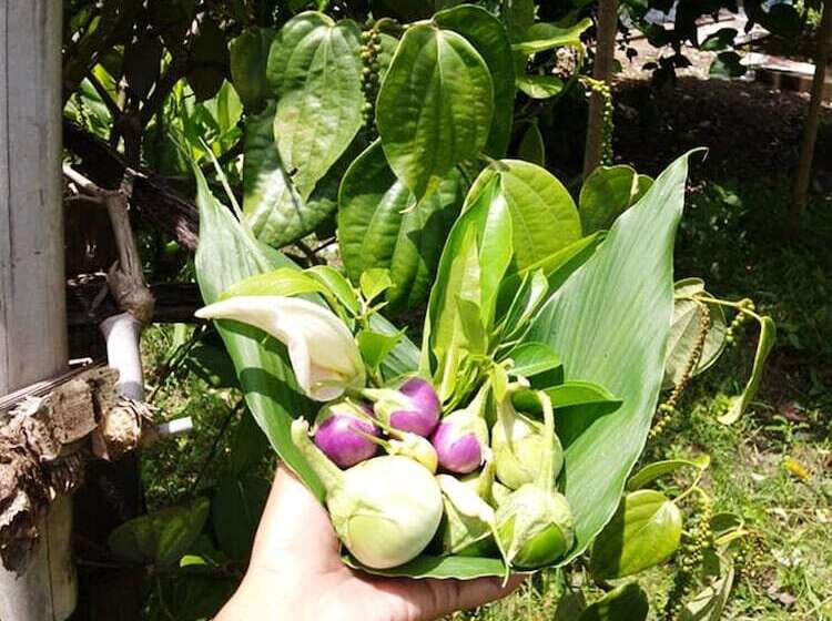 Nisarine Homestay @ Koh Klang   Hostel