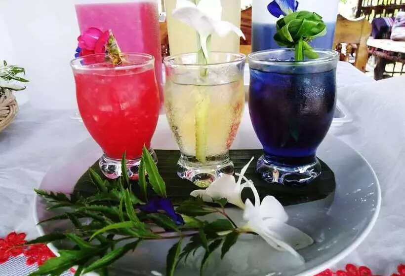 Nisarine Homestay @ Koh Klang   Hostel