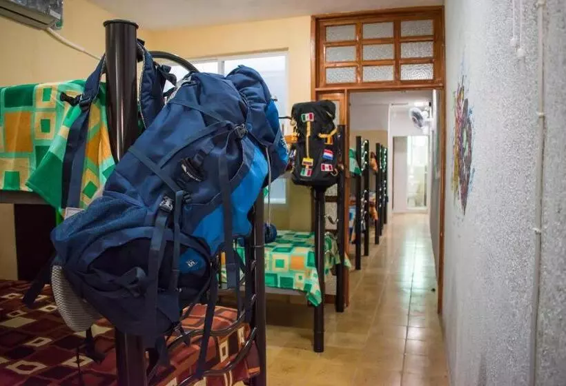 Hostel áabilo Ob