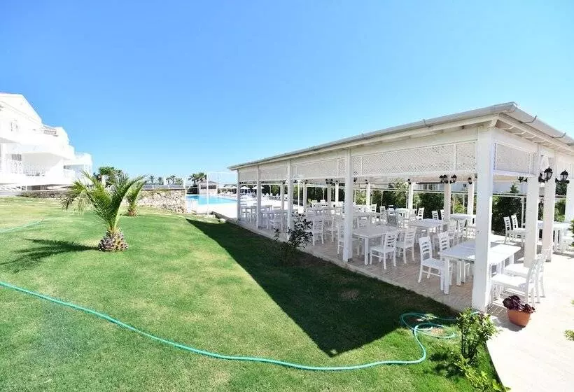 Calico Hotel