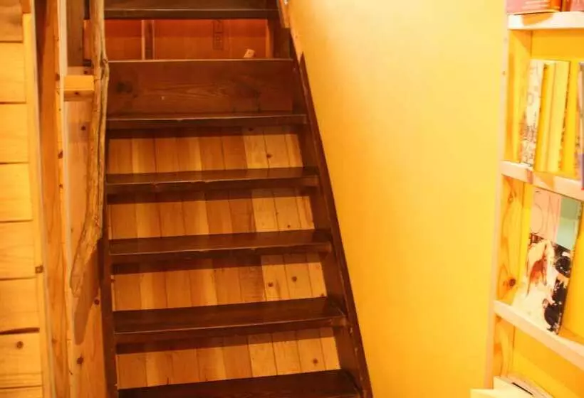 Cotonoha Guesthouse   Hostel