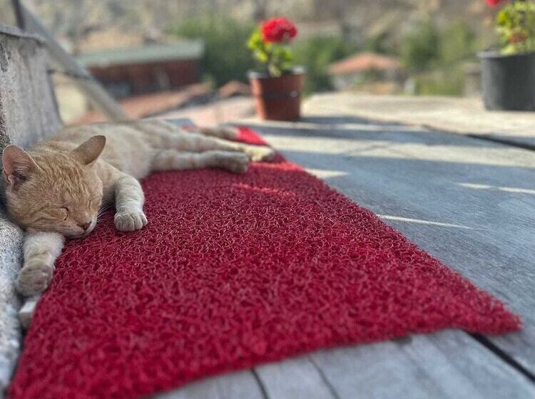 호텔 Cappadocia Cave House