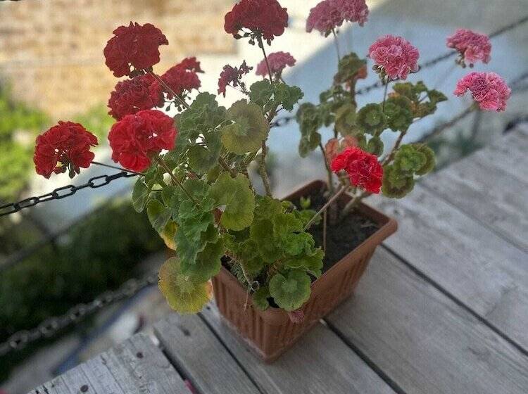 호텔 Cappadocia Cave House