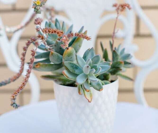 Luvi Kaş Otel Adults Only