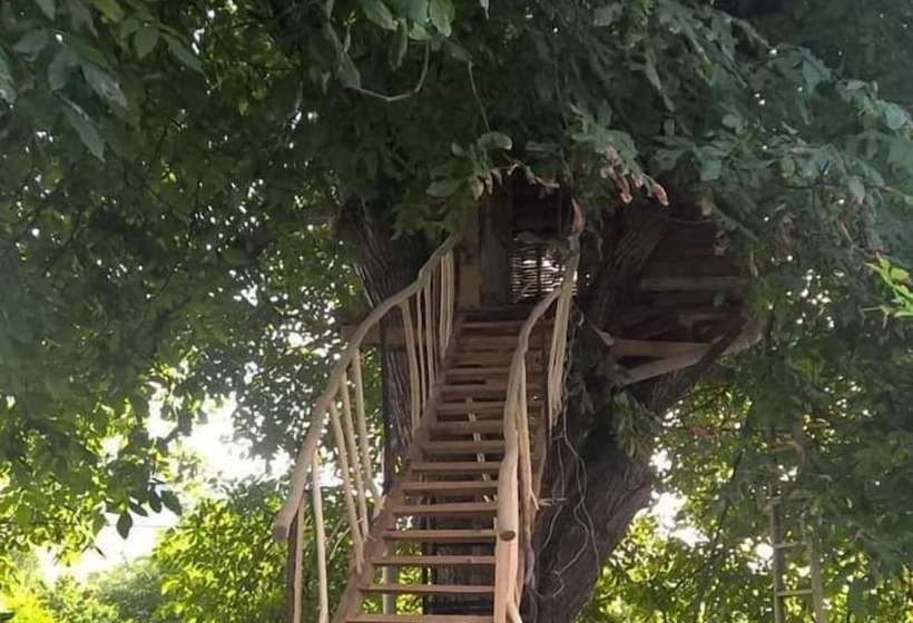 پانسیون Areni House B&b