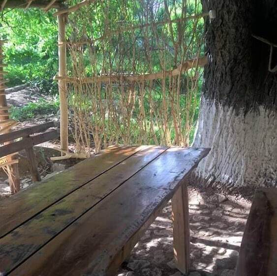 پانسیون Areni House B&b