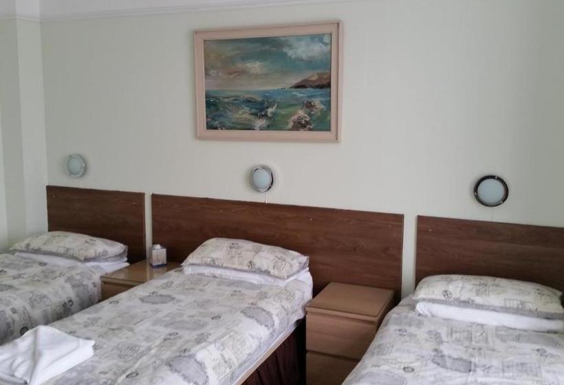 مبيت وإفطار Willow Court Lodge