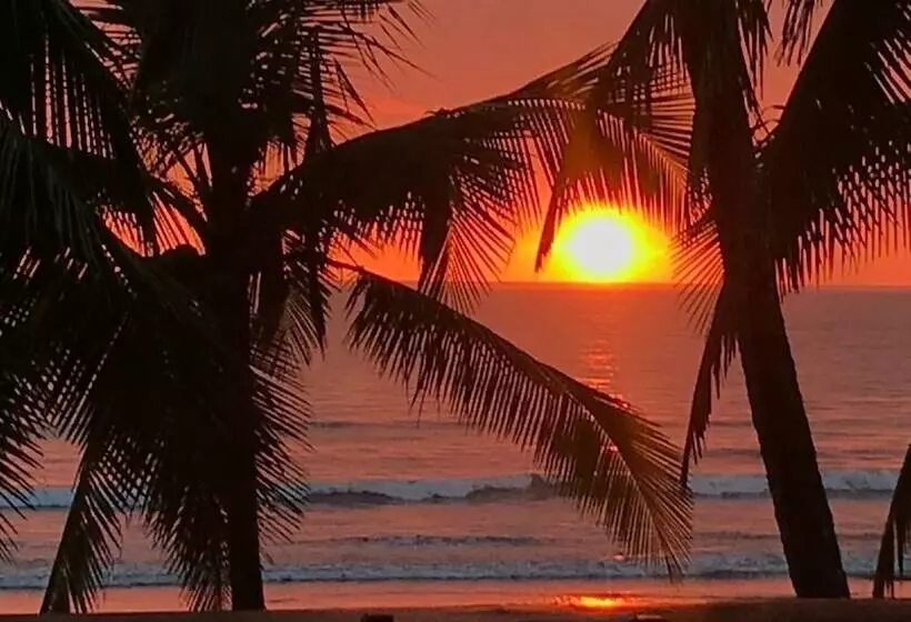 ホテル Gallina E Palo Beachfront