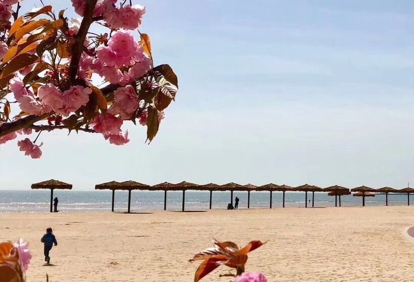 Jia Zhao Ye Sunny Seaview Apartment