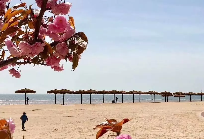 Jia Zhao Ye Sunny Seaview Apartment