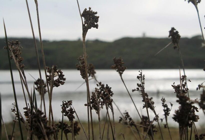 Пансион Avó Rosa Guesthouse