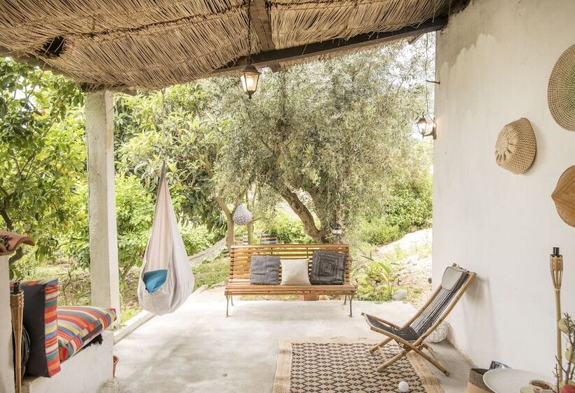 Пансион Avó Rosa Guesthouse